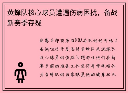黄蜂队核心球员遭遇伤病困扰，备战新赛季存疑