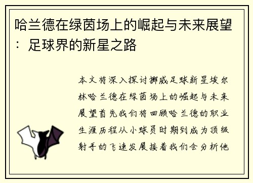 哈兰德在绿茵场上的崛起与未来展望：足球界的新星之路