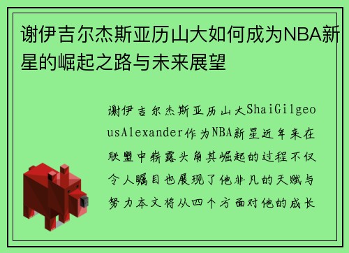 谢伊吉尔杰斯亚历山大如何成为NBA新星的崛起之路与未来展望